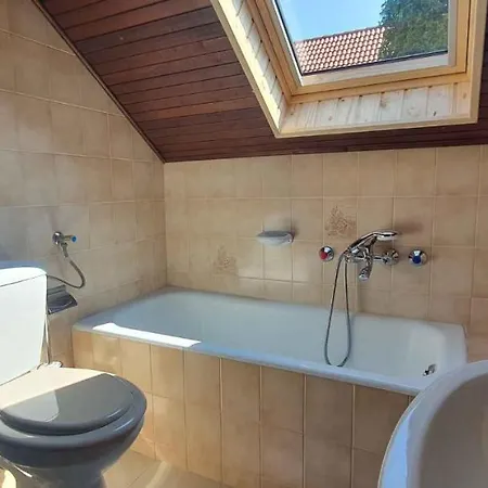 In - Balaton 43409 * Σίοφοκ