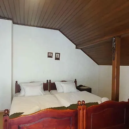 In - Balaton 43409 Apartment Siofok